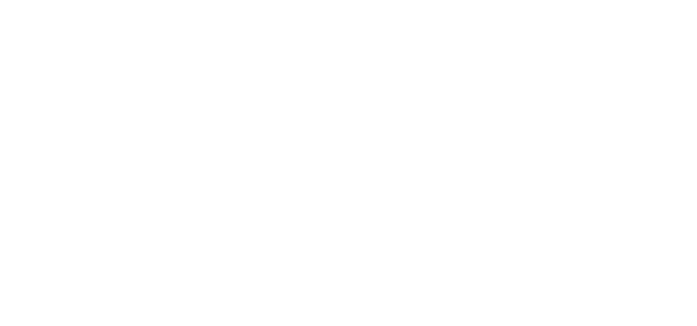 The Kooples